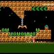 Switchback Swamp